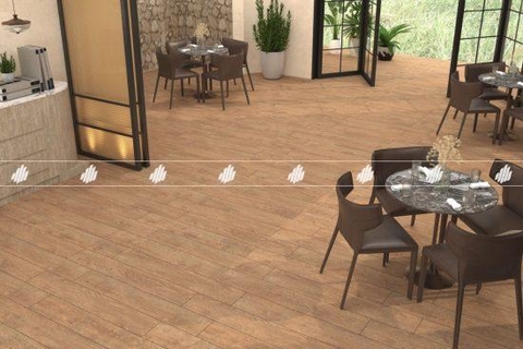 GẠCH PORCELAIN VÂN GỖ KHÁNG KHUẨN 20120BANYAN005-H+