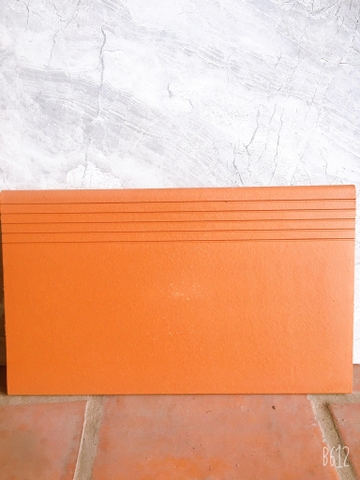 Gạch Bậc thềm 30x50cm Hạ Long