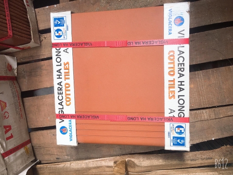 Gạch Bậc thềm 30x30cm Hạ Long