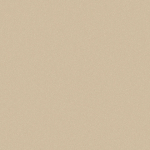 Gạch Granite 2 da 80x80cm Viglacera TS5-802