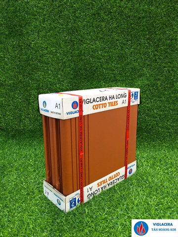Gạch Bậc thềm 30x30cm đỏ nhạt Viglacera Hạ Long