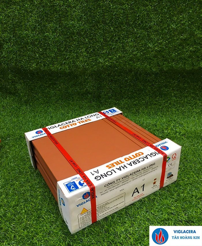 Gạch Bậc thềm 30x30cm đỏ nhạt Viglacera Hạ Long