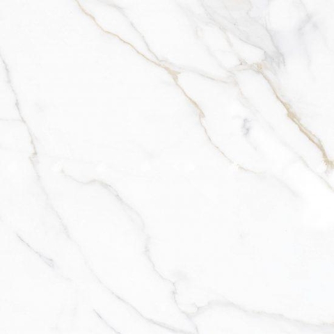 GẠCH PORCELAIN 6060VAMCODONG003-FP