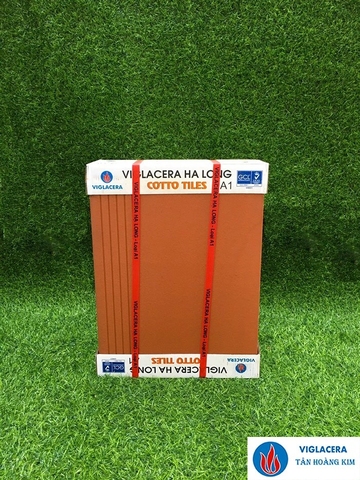 Gạch Bậc thềm 30x50cm đỏ nhạt Viglacera Hạ Long