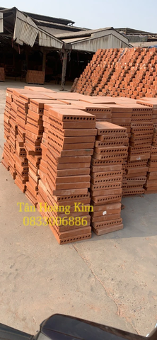 Gạch bát 10 lỗ 30x30x5cm Viglacera Đông Anh