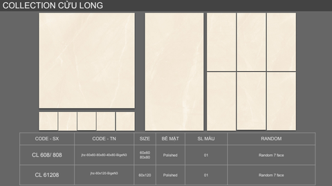 Gạch Viglacera 60x120 CLGP-61208