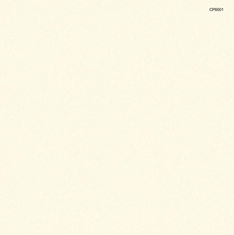 CP6001 Gạch lát sàn