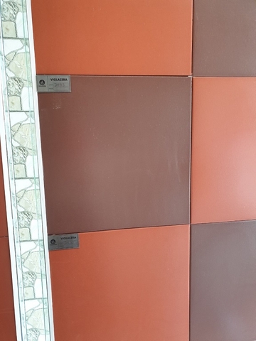 Gạch lát cotto Viglacera Hà Nội D401