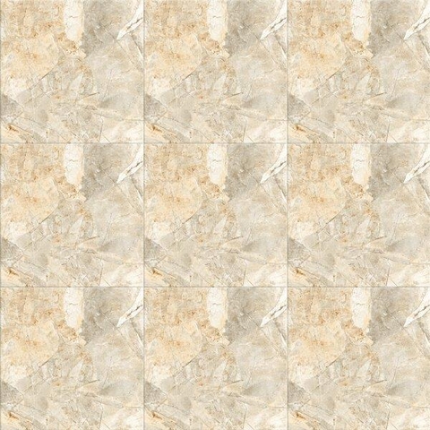 Gạch Viglacera 50x50 HH 502