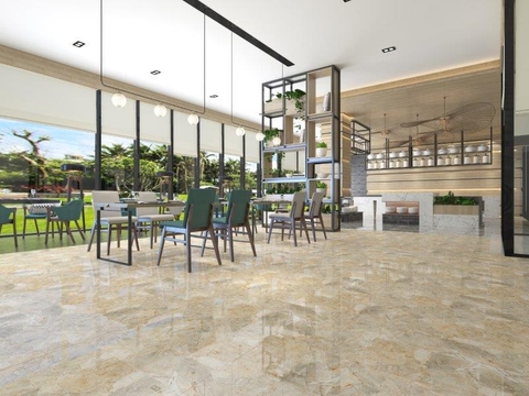 Gạch Viglacera 50x50 HH 502