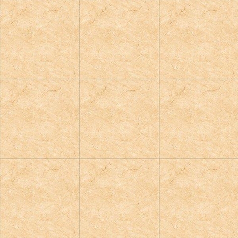 Gạch Viglacera 50x50 HH 503