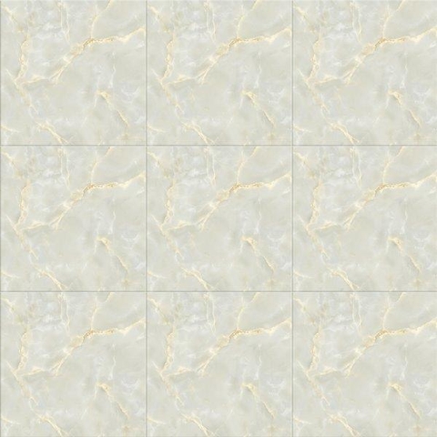 Gạch Viglacera 50x50 HH 505
