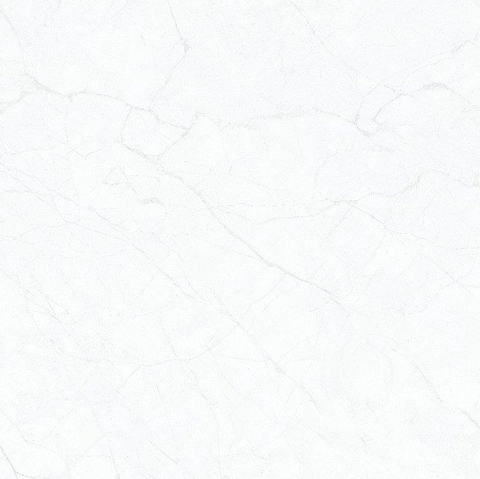 Gạch Viglacera 80x80 TB 8860