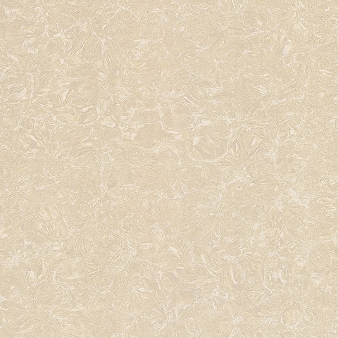 Gạch Viglacera 60x60 TS2 612