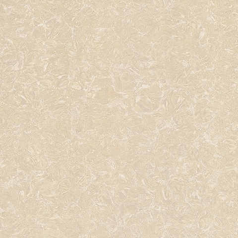 Gạch Viglacera 80x80 TS2 812