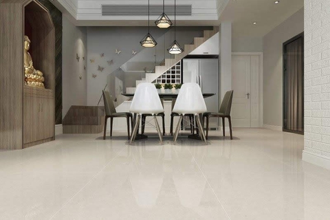 Gạch Viglacera 80x80 TS2 817