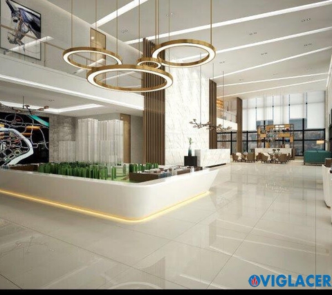 Gạch Viglacera 60x60 TS5 601