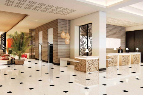 Gạch Viglacera 80x80 TS5 800