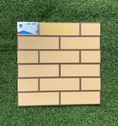 Gạch lát cotto trang trí Viglacera Hà Nội GA-403