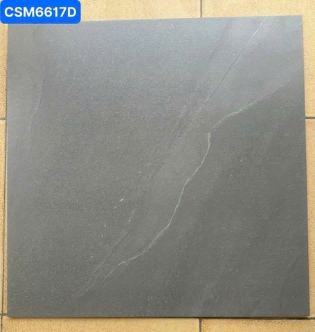 Gạch lát nền 60x60cm CSM6617D Thiên Hà Thủy