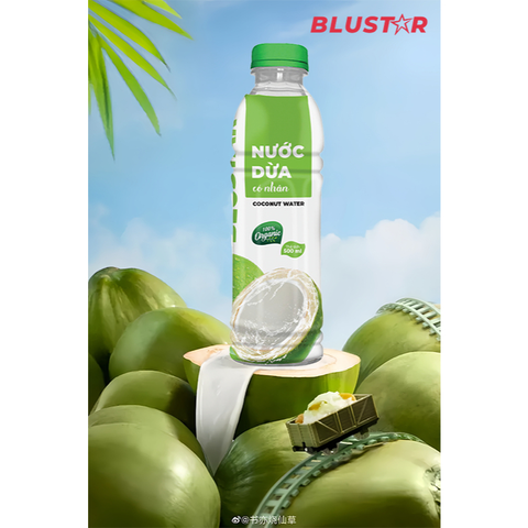 Nước Dừa Có Nhân 500ml