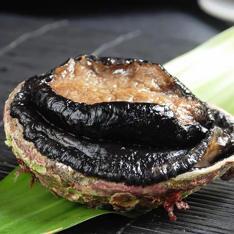 Bào Ngư Úc