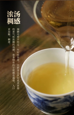 Phổ nhĩ sống Ban Chương VIP 50g 2022