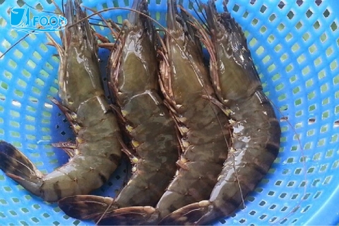 Mua tôm, thấy có những dấu hiệu này 