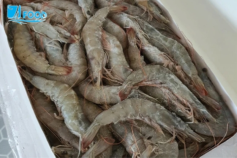 Trữ đông tôm mà bị đóng thành tảng băng thế này thì mất cả ngon: Cách khắc phục cực đơn giản mà phần lớn chúng ta đều chưa biết!