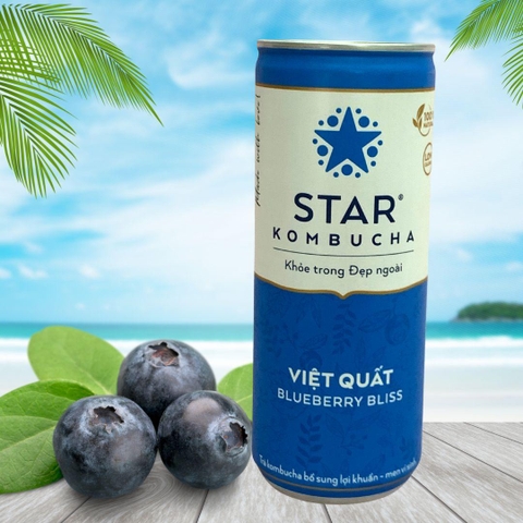 Trà lên men Star Kombucha mix vị (250ml/lon)