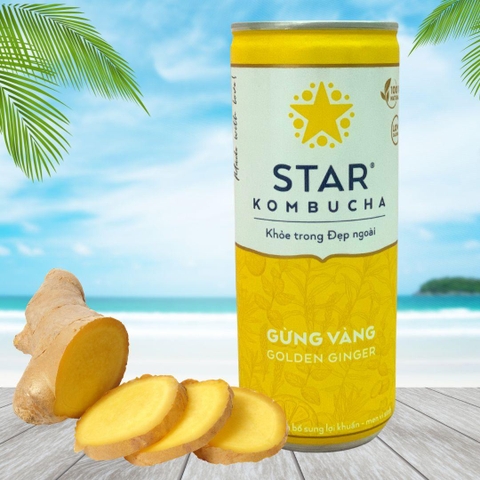 Trà lên men Star Kombucha mix vị (250ml/lon)