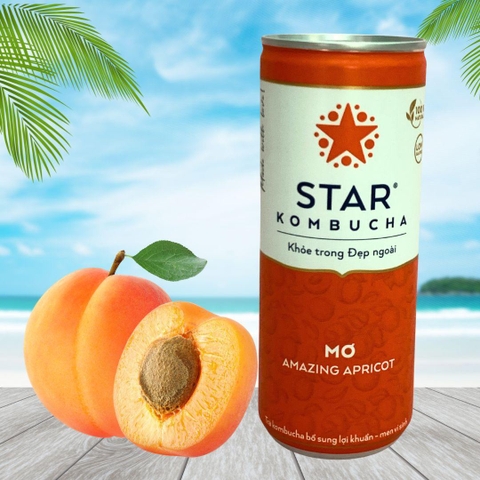 Trà lên men Star Kombucha mix vị (250ml/lon)