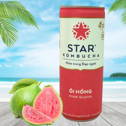 Trà lên men Star Kombucha mix vị (250ml/lon)