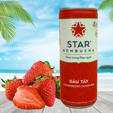 Trà lên men Star Kombucha mix vị (250ml/lon)