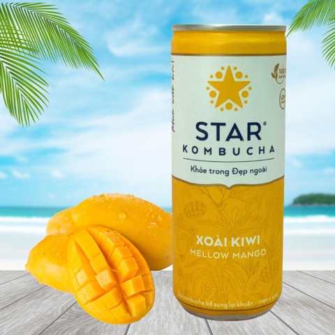Trà lên men Star Kombucha mix vị (250ml/lon)