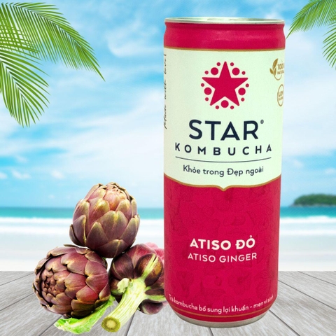 Trà lên men Star Kombucha mix vị (250ml/lon)