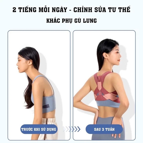 COMBO Dây kéo 6 ống tập cơ bụng và đai chống gù lưng bảo vệ vòng 1, định hình khi tập yoga, gym