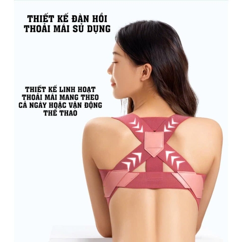 COMBO Dây kéo 6 ống tập cơ bụng và đai chống gù lưng bảo vệ vòng 1, định hình khi tập yoga, gym