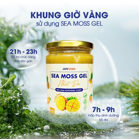 [HOT] Sea Moss Gel Nhiệt Đới Nước Rong Biển Lên Men Japi foods
