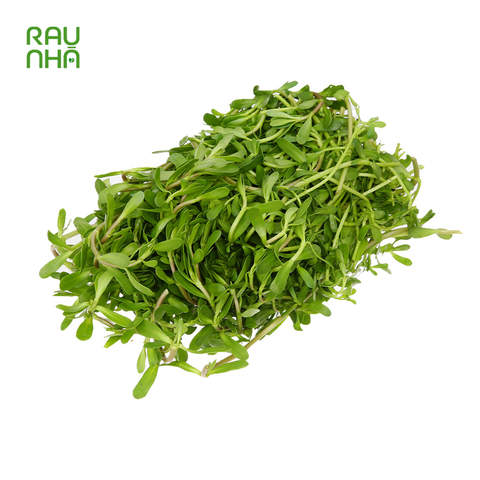 Rau đắng - 1kg