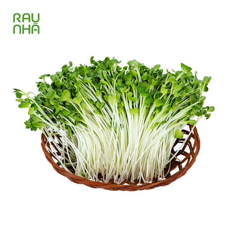 Rau mầm - 1kg