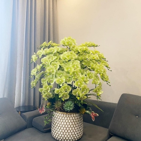 Chậu Hoa Lan Hồ Điệp Cao Su Màu Xanh Cốm Cắm Cắm Một Hướng