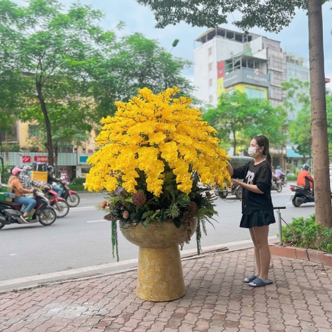 Chậu Lan Hồ Điệp Chất Liệu Cao Su Non Màu Vàng Sang Trọng – Chậu Kích Thước Lớn Cho Không Gian Đẳng Cấp
