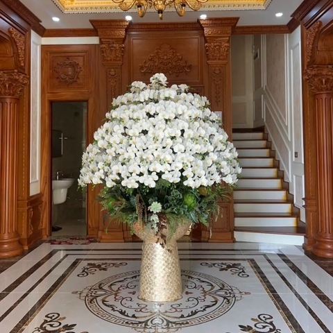 Chậu Lan Hồ Điệp Chất Liệu Cao Su Non Màu Trắng - Chậu Cỡ Lớn