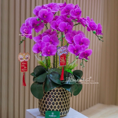 Chậu Hoa Lan Hồ Điệp Cao Su Màu Tím Quý Phái
