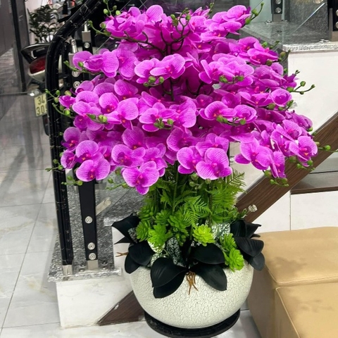 Chậu Lan Hồ Điệp Giả Tím Tài Lộc