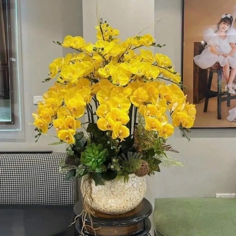 Chậu Lan Hồ Điệp Giả Màu Vàng Sang Trọng