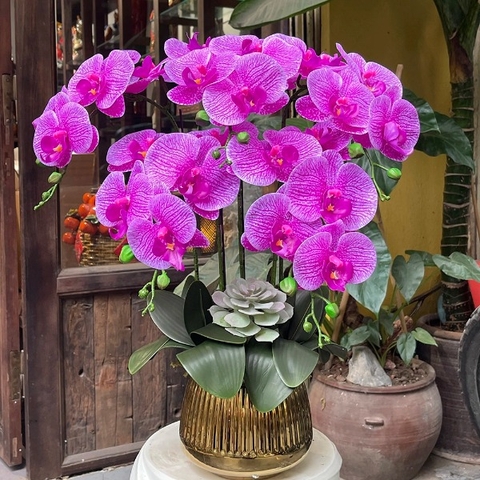 Chậu Lan Hồ Điệp Cao Su Non Màu Tím – Món Quà Sang Trọng, Tinh Tế Và Đầy Ý Nghĩa