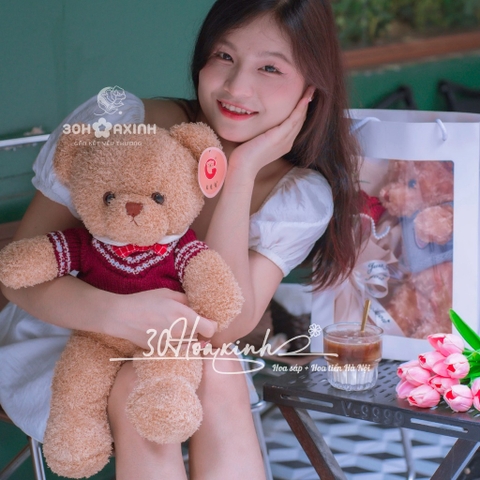 Gấu bông Teddy áo len