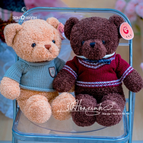 Gấu Couple Teddy dễ thương